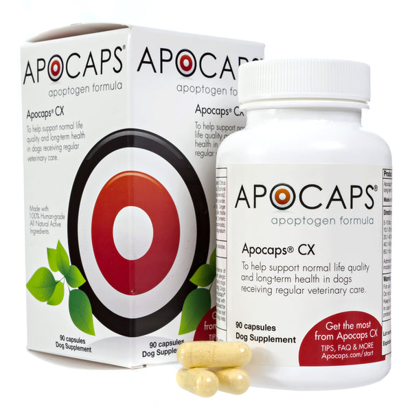 Apocaps CX 2-Pack (180 capsules)